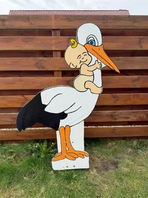Storch 2