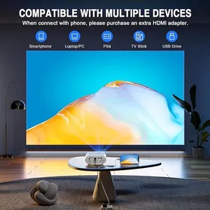 Projector w/screen
