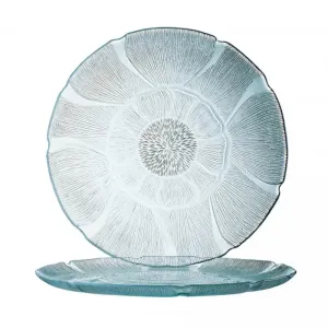 Clear Plate 8