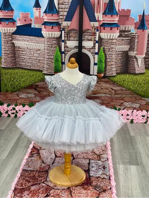 Sparkle Silver Dress