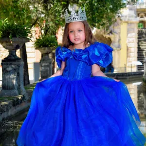 Royal Blue Princess