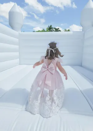 Royal Isabella Dress