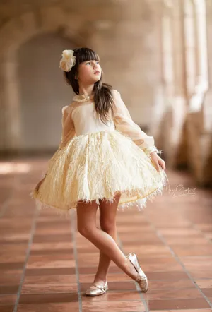 Golden Feather Dress