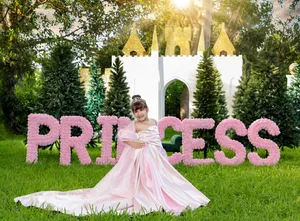 Princess Barbie Dress
