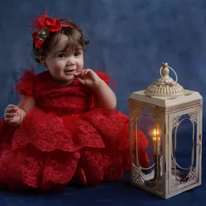 Royal Red Dress