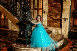 Frozen Deluxe