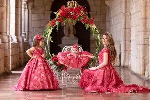 Red luxury rose collection 