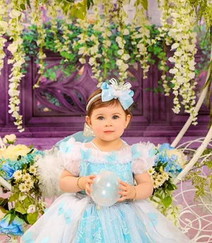 Cinderella Deluxe