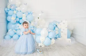 Cinderella Deluxe Baby Blue (L)