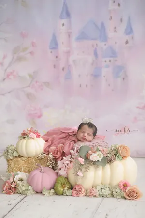 Sleeping beauty Newborn 