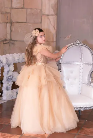 Sophia Fancy Dress