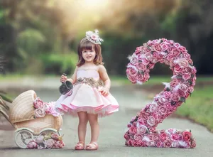 Stunning Pink Swan Dress