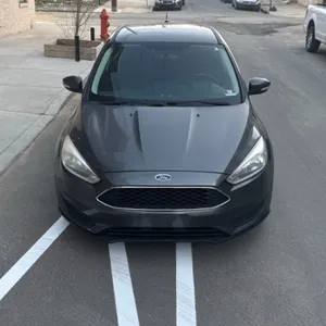 Quaddy - 2017 Ford Focus
