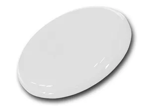 Frisbee