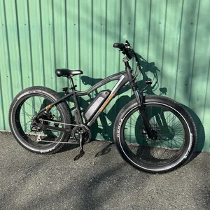 e-Bike - Rad Rover (Step-over)