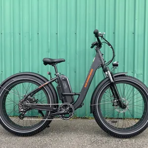 e-Bike - Rad Rover (Step-thru)