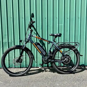 e-Bike - Rad City (Step-over)