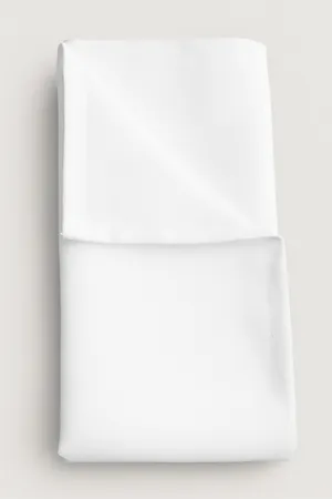 Napkin