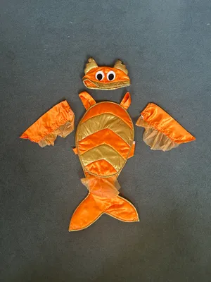 Gold fish tabard and hat