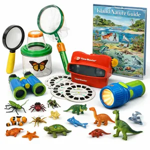 Island Explorer Box