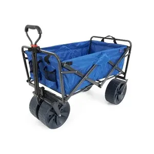 Beach Wagon