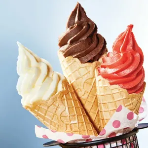 Kit Glace Italienne 100 Personnes | Booth Events