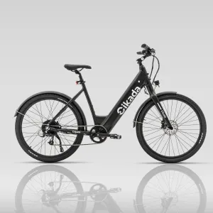 Cikada City eBike