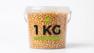Maïs pour popcorn - 1 KG - Mushroom