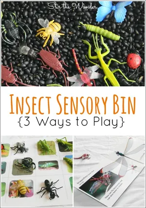 Bug Sensory Bin