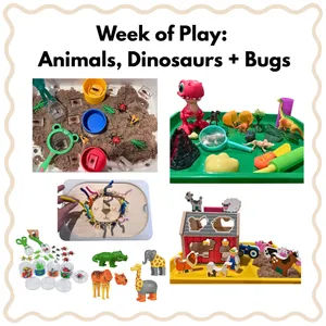 Animals, Dinosaurs + Bugs