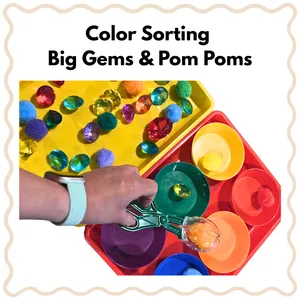 Color Sorting Gems & Pom Poms (2+ years)