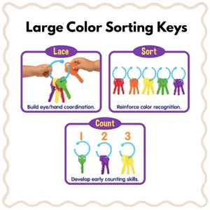Large Color Sorting Keys (18+ months)