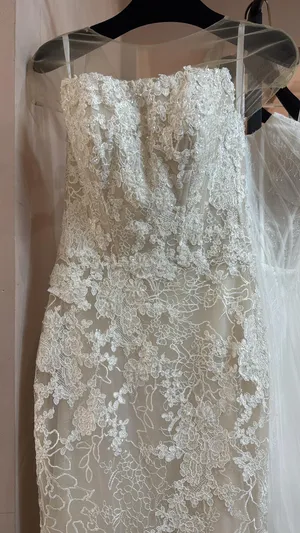 1708 French lace nude base mermaid cat eye with white horsehair detachable train Kamila 
