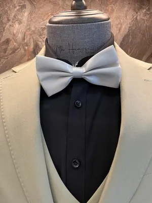 S05AAT 1524 Plain Silver bow tie