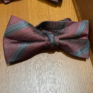S05AAT 1481 Maroon with green texture bow tie