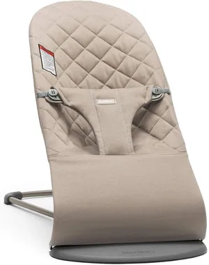 BabyBjörn Bouncer Rental