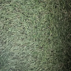 Astro Turf 3MX4M