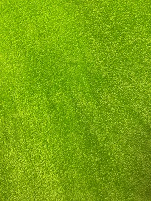 Basil green 3MX4M
