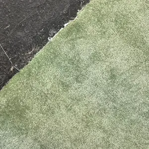 Light Green 2 3mx4m