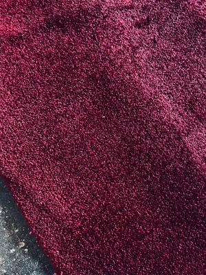 Dark Grape Carpet 4mx7.8m