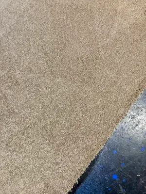 Oyster Deep Ply Carpet 3mx5m