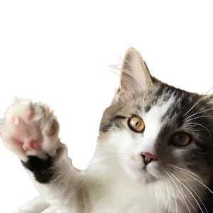 2 RUIMTES VOOR DE PRIJS VAN 1 met GRATIS POETSKOST!