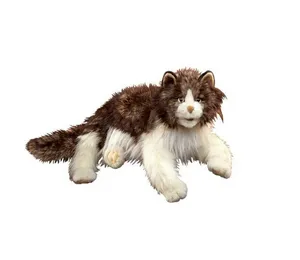 Oefenknuffel en Leeshulp Ragdoll