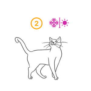 Furr Fantastic 2