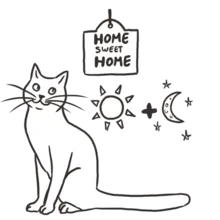 Happy Home 2 sessies/dag