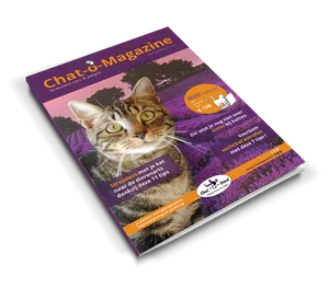 Chat-o-Magazine nieuw