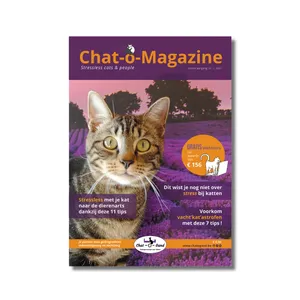 Chat-o-Magazine 