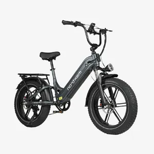 Camel Electric Bike Grey