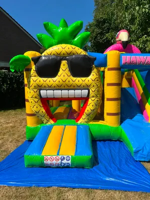 Multi Box Hawaii Springkussen