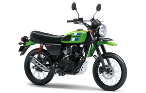 Kawasaki W175TR Green
